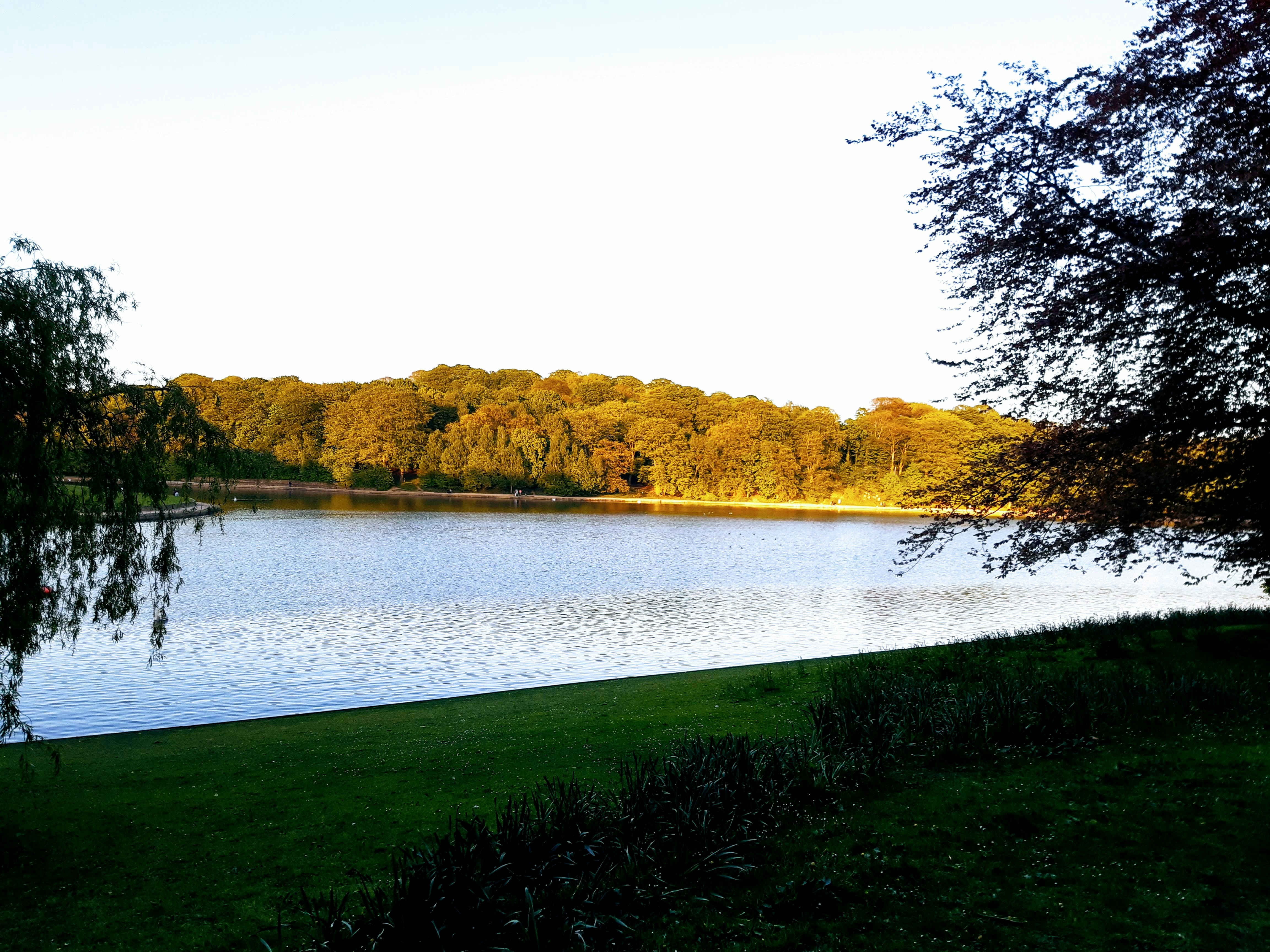 intercambio en leeds lago en medio de un campo de hierba verde
