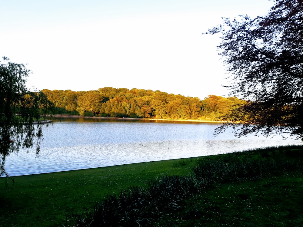 lake in the middle of green grass field