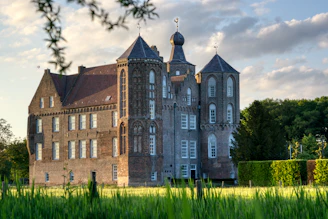 A serene aerial shot of a historic Irish castle surrounded by lush green fields under a soft morning light.