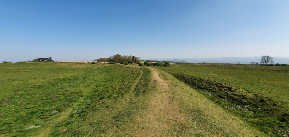 green grass field under blue sky during daytime