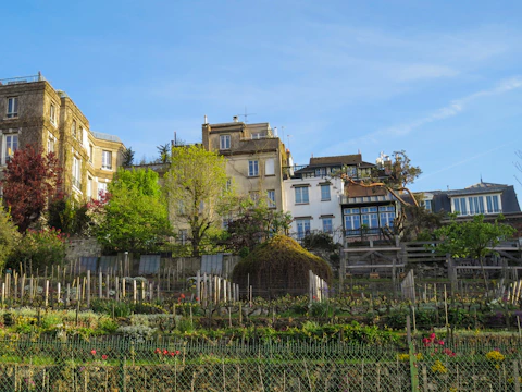 Vine Hill Advisory LLP Chambers team collaborating over case files.