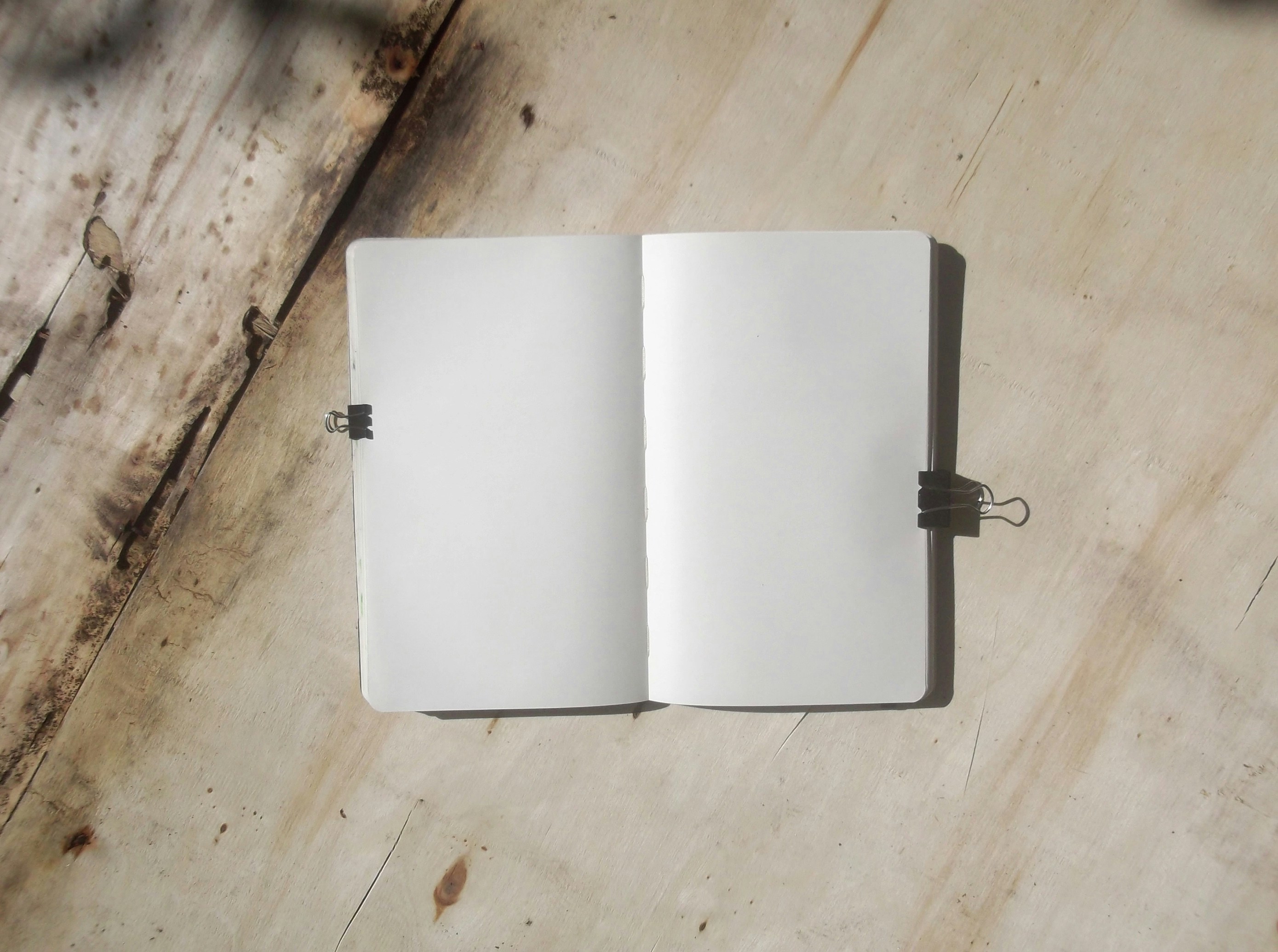 Photo by lisovychokk