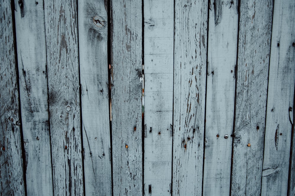 昼間の白い木製フェンスの写真 Unsplashで見つけるグレーの無料写真