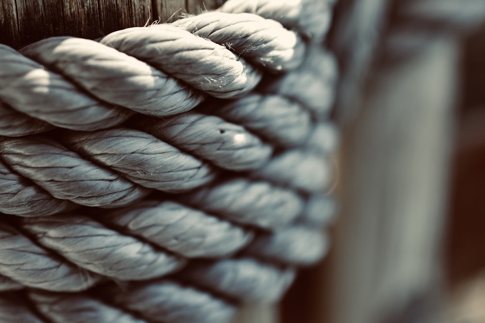 white and brown rope in close up photography