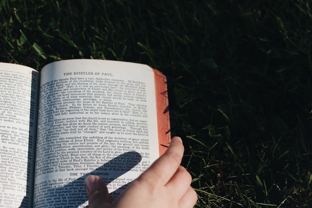 person holding book on green grass field during daytime