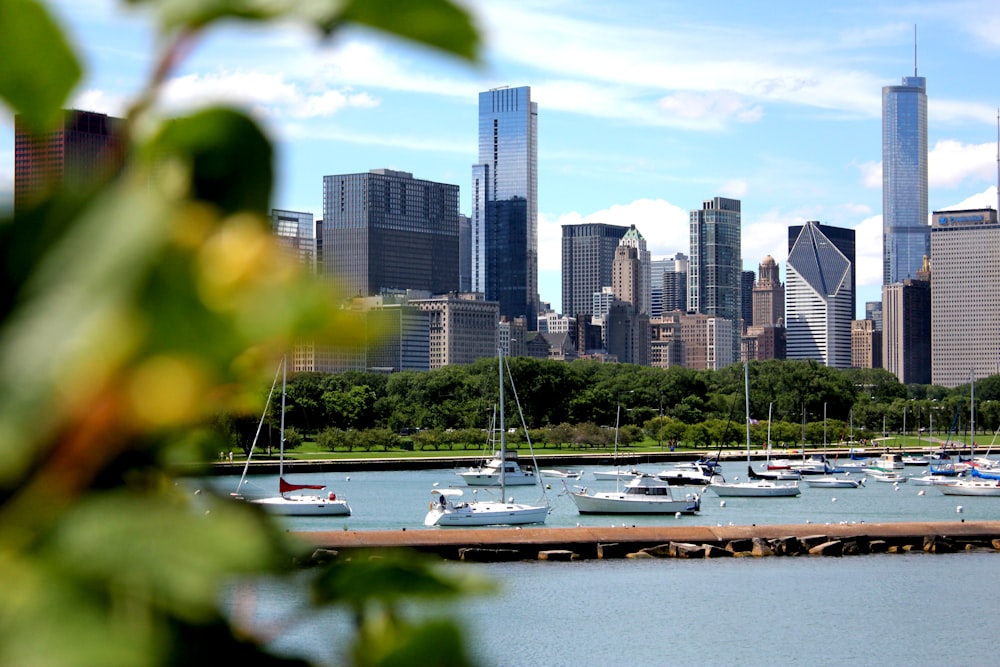 white and brown boat on body of water near city buildings during daytime