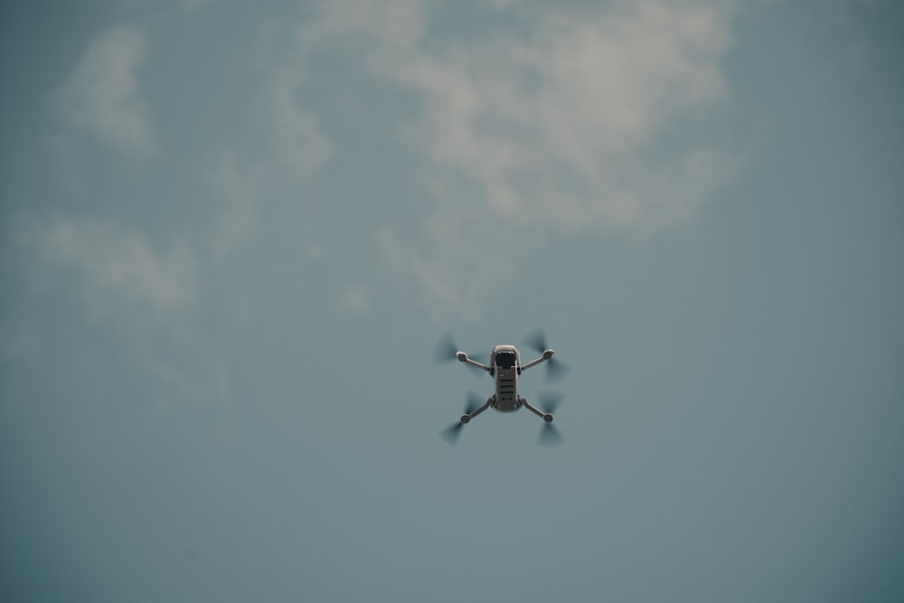 black bird flying under blue sky during daytime