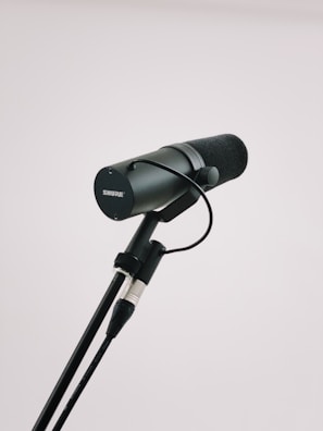 Picture of a compact portable microphone with a foam windscreen.
