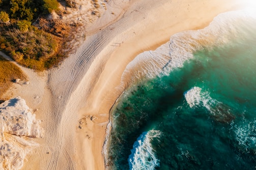 aerial view of beach during daytime