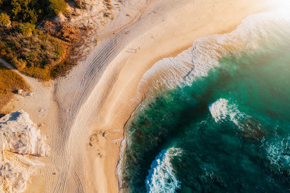 aerial view of beach during daytime