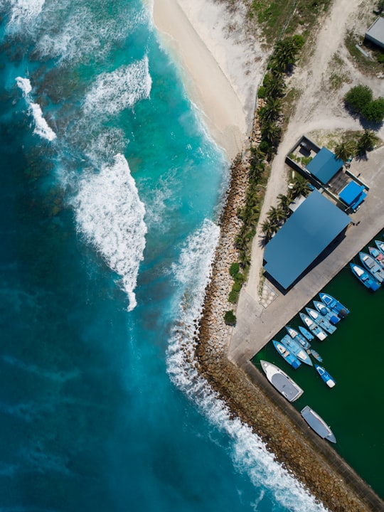 aerial view of beach during daytime in Gnaviyani Maldives