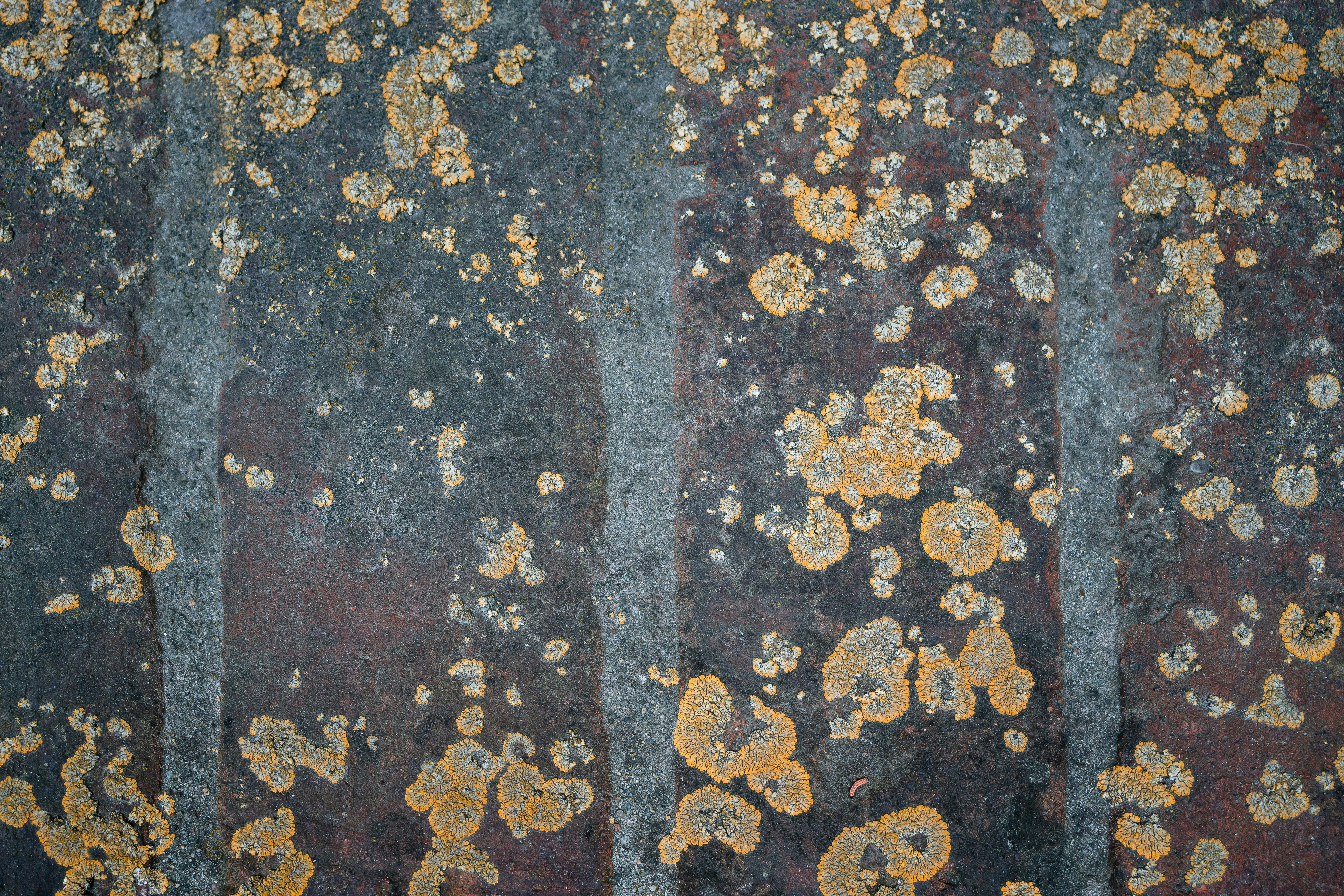 brown and white abstract painting wavy teams background