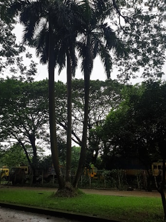 Photo 1588803869336 53d6fd328787?q=85&w=636&h=455&fit=crop