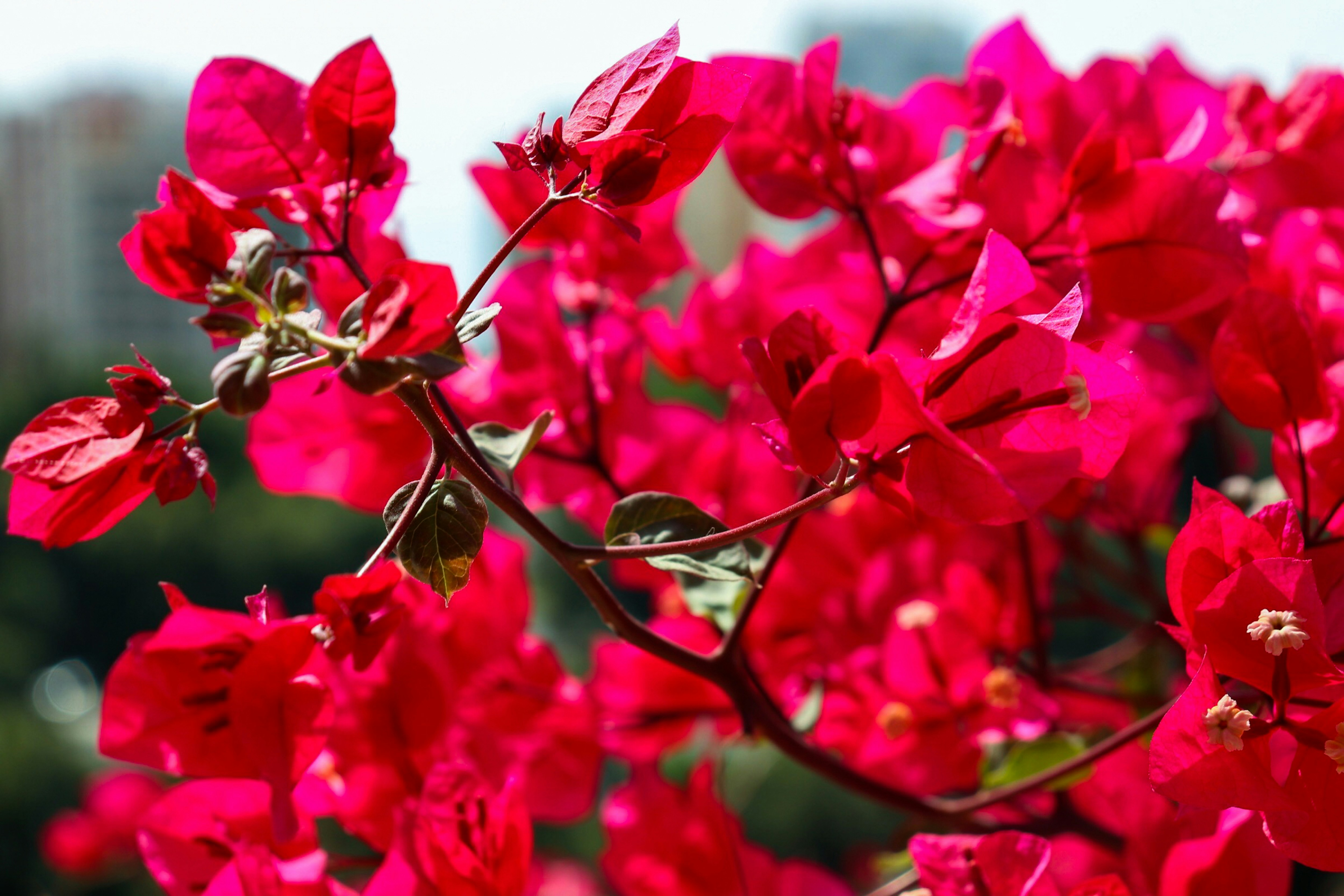 Photo by erinsobrien