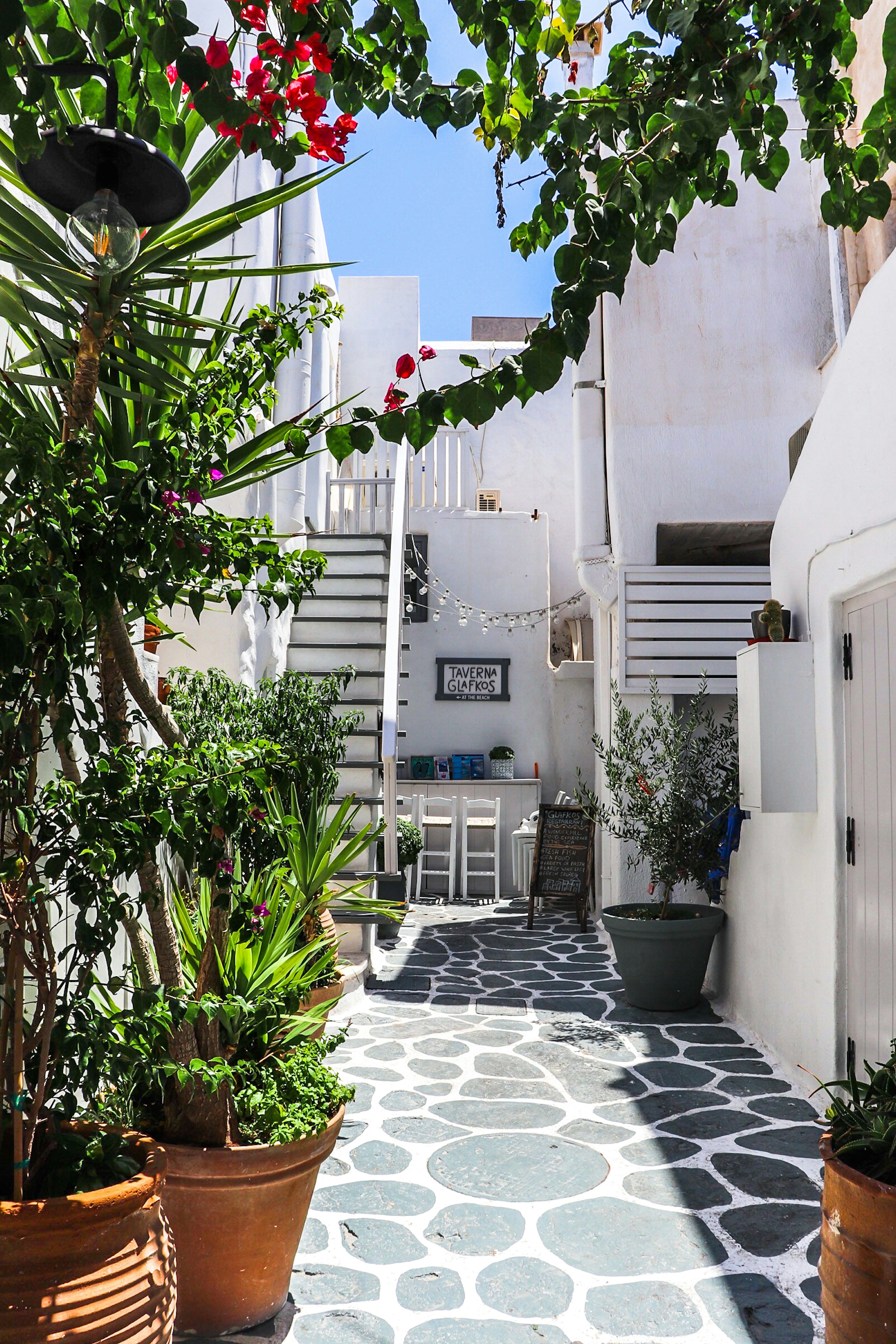 Photo by erinsobrien