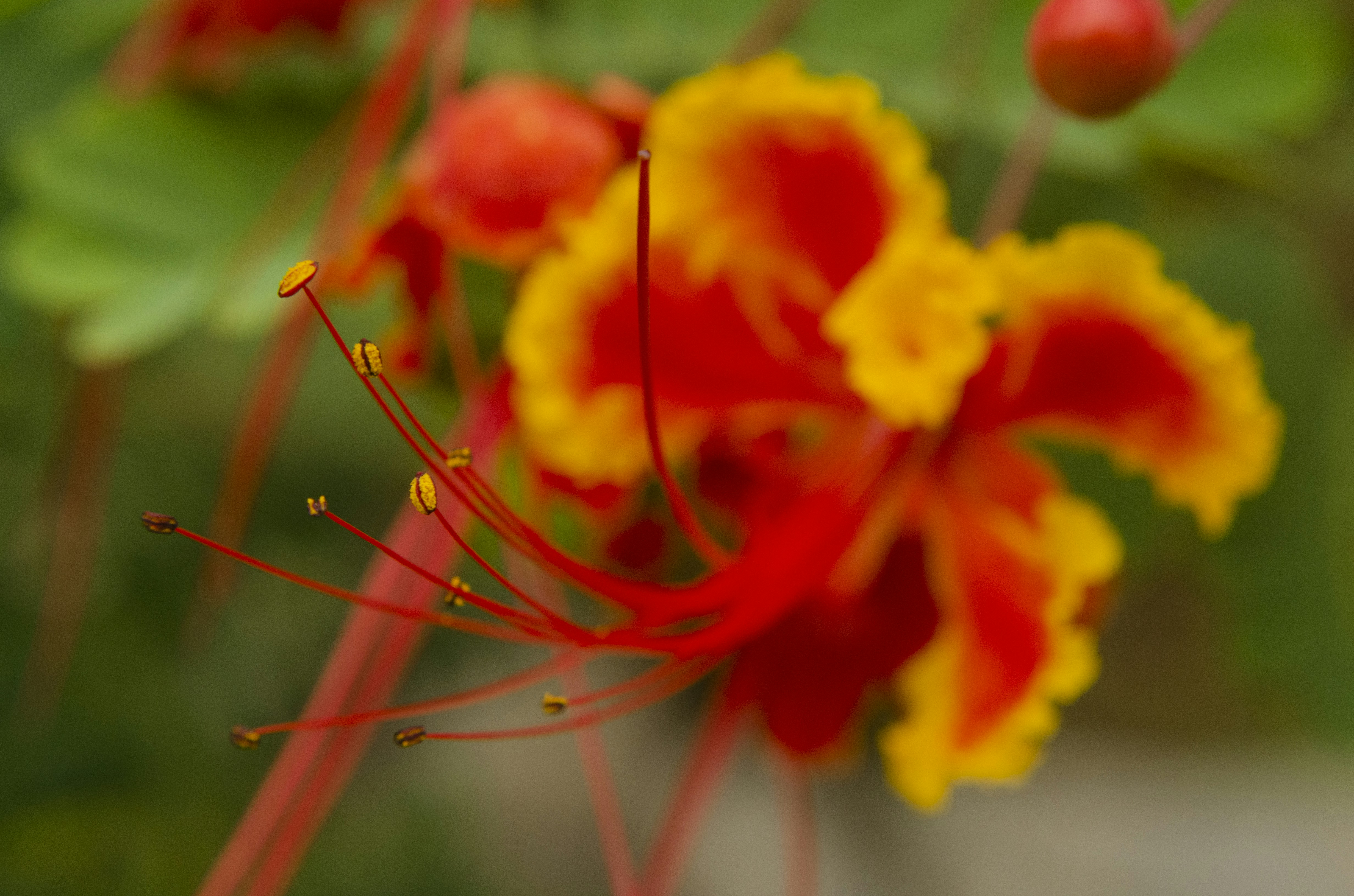 Photo by berro