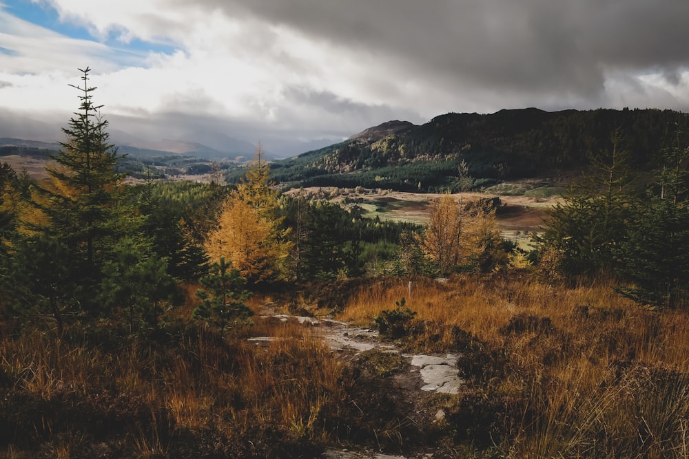 green trees near mountain under cloudy sky during daytime