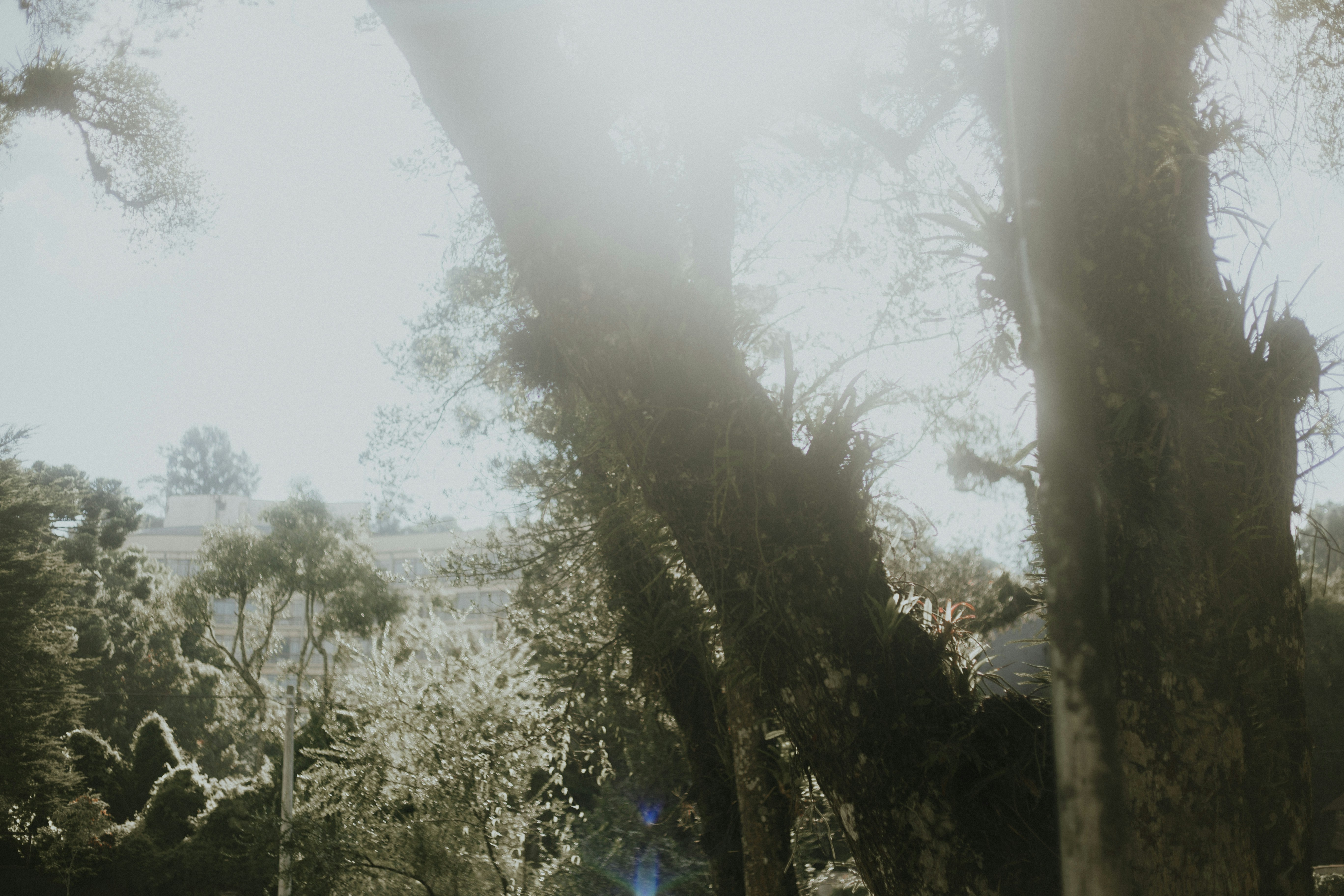 Photo by vkings