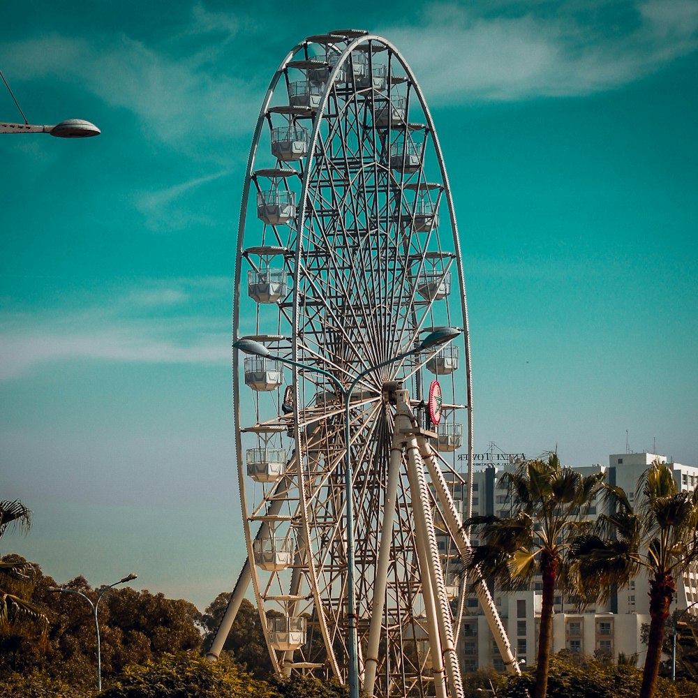 a ferris wheel sitting in the middle of a park