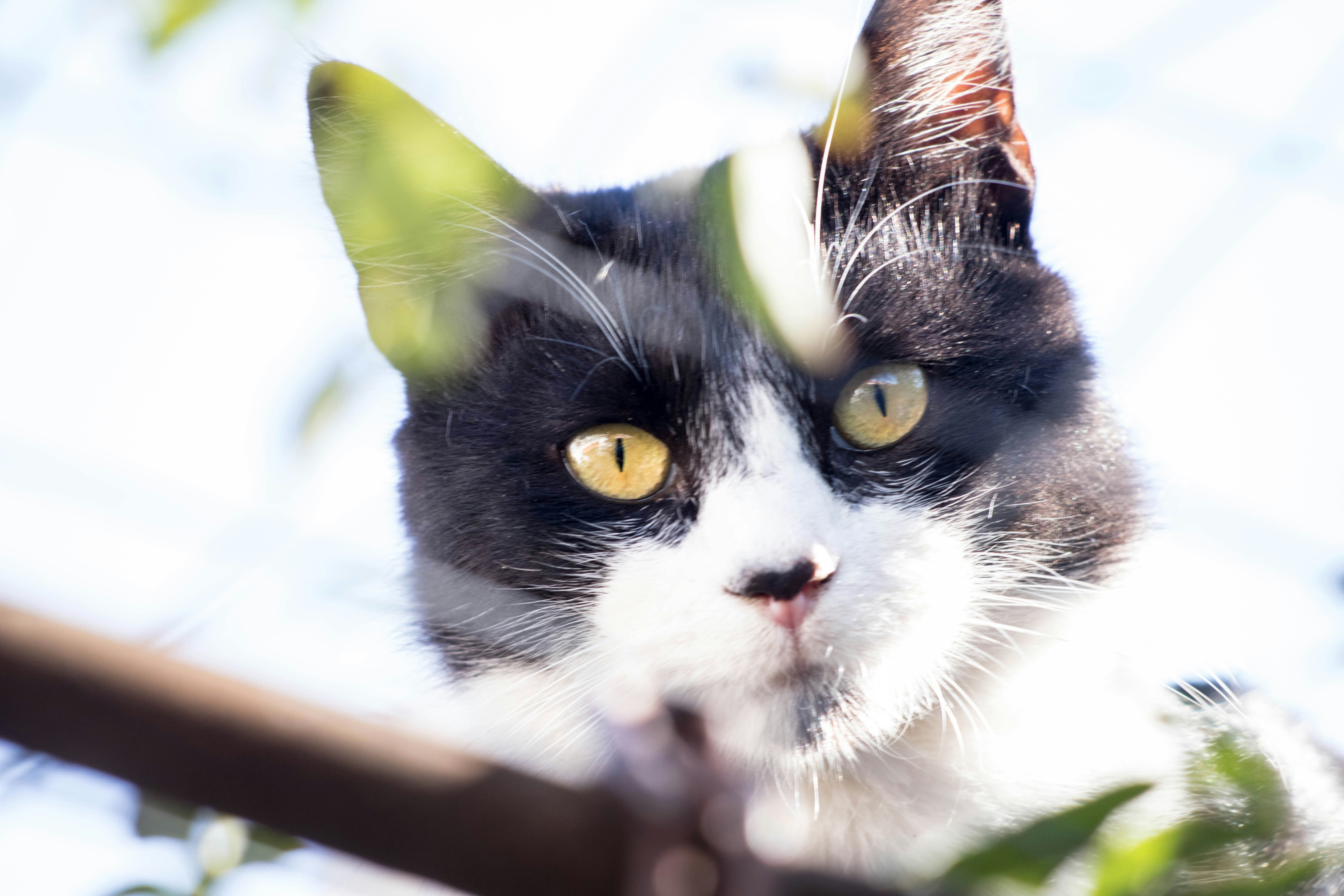 Photo by sonianadales