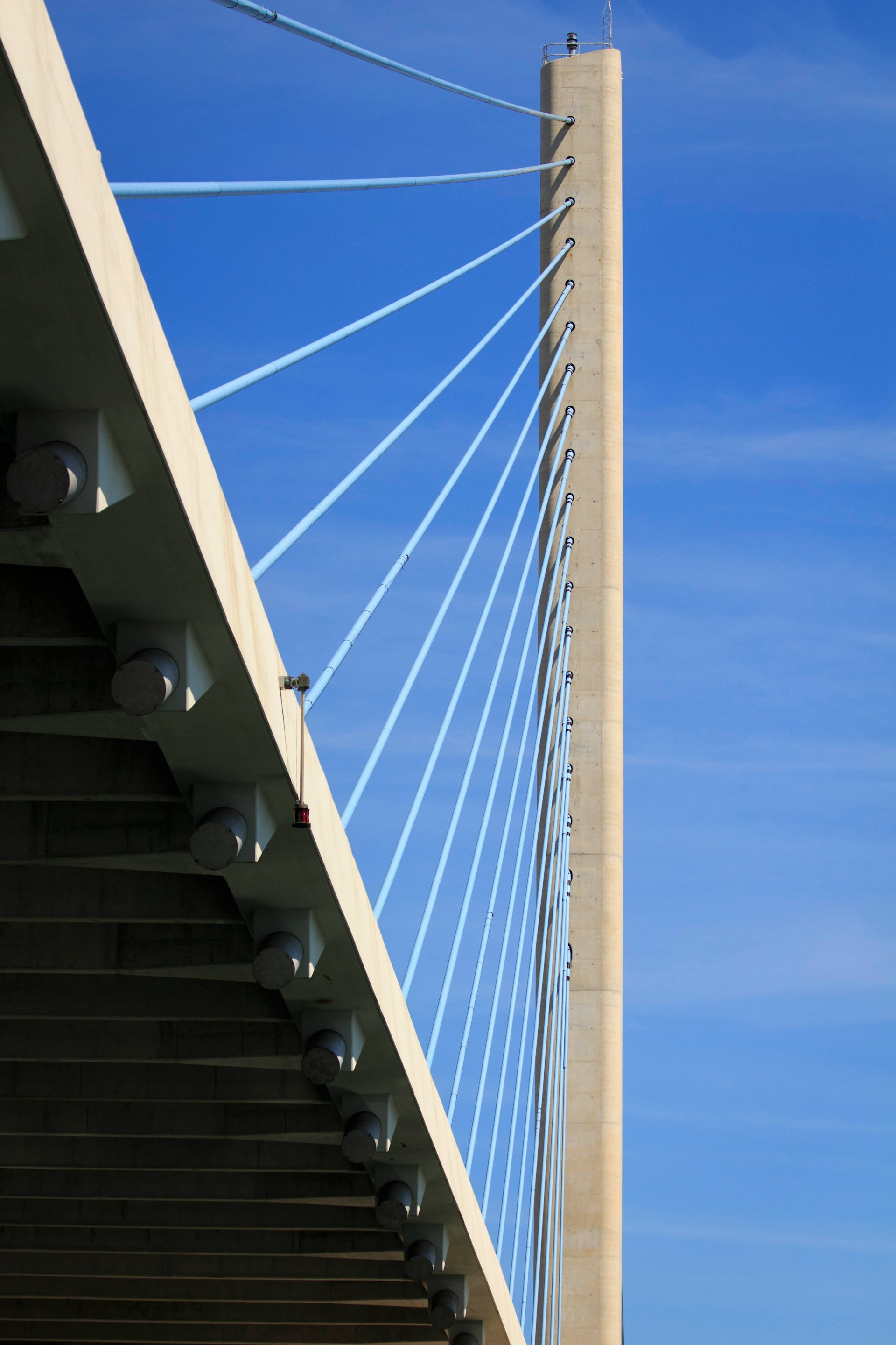 Beyond Delaware: The Global Founder's Guide to Choosing an Entity