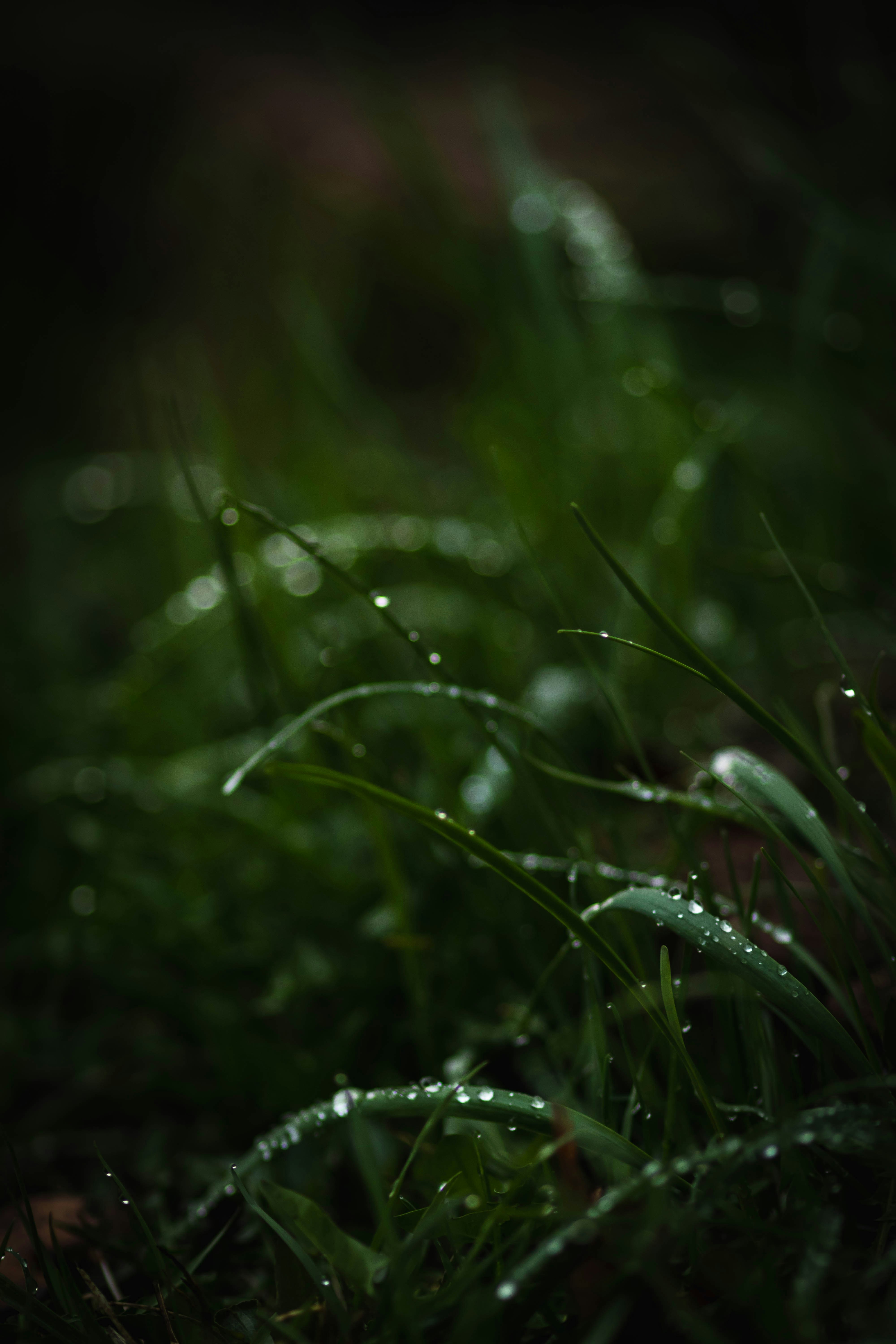 Photo by cole_wyland_24