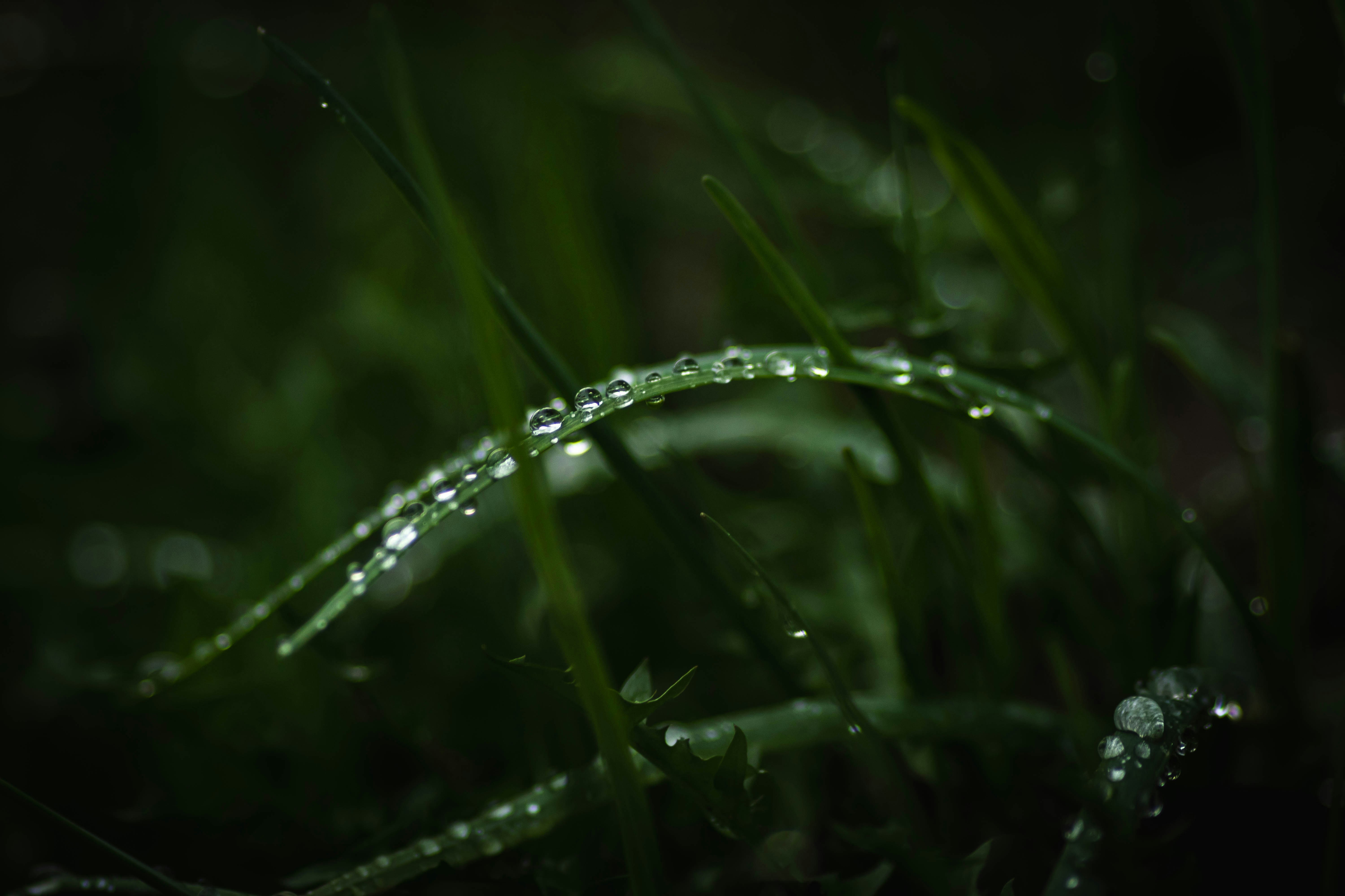 Photo by cole_wyland_24