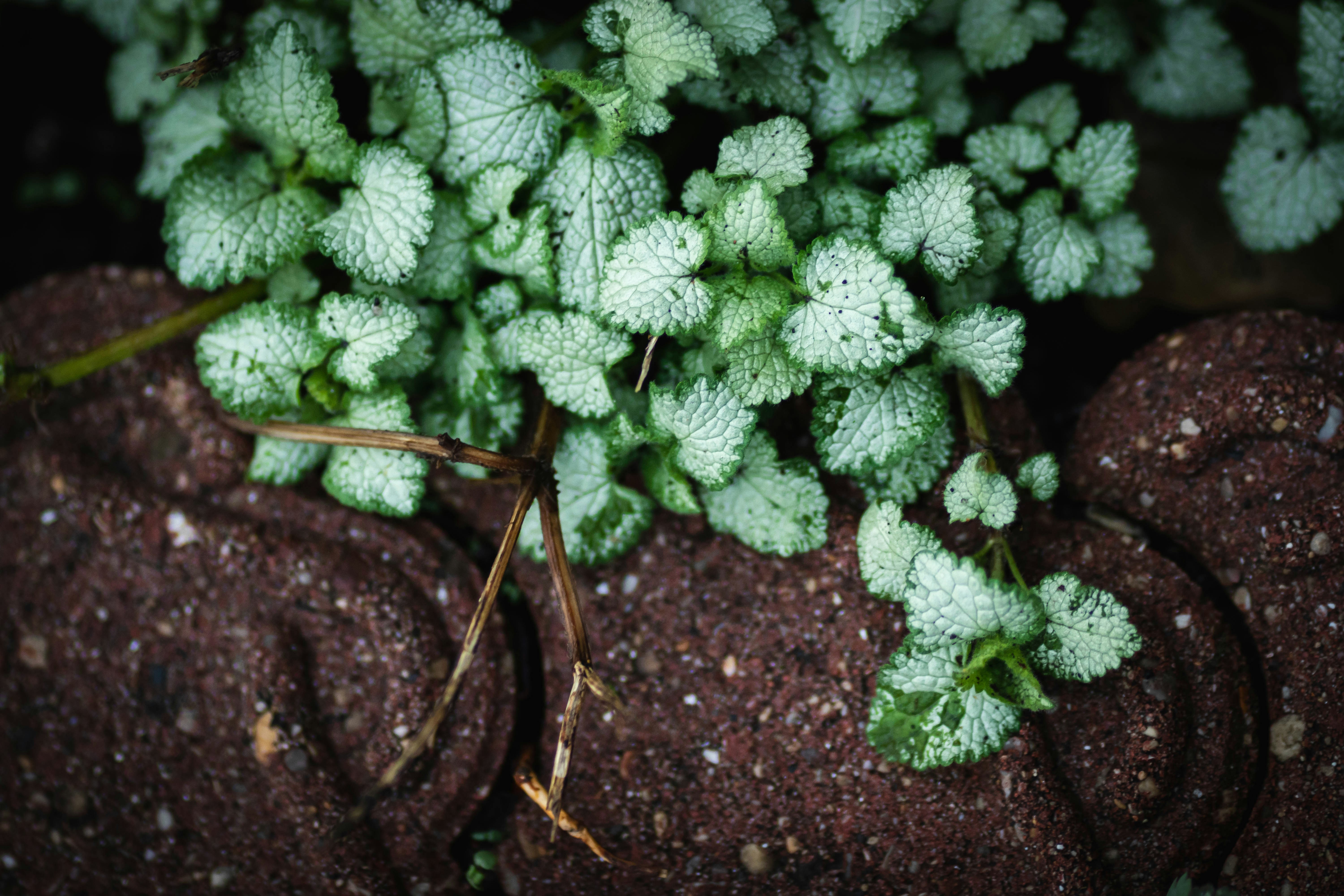 Photo by cole_wyland_24