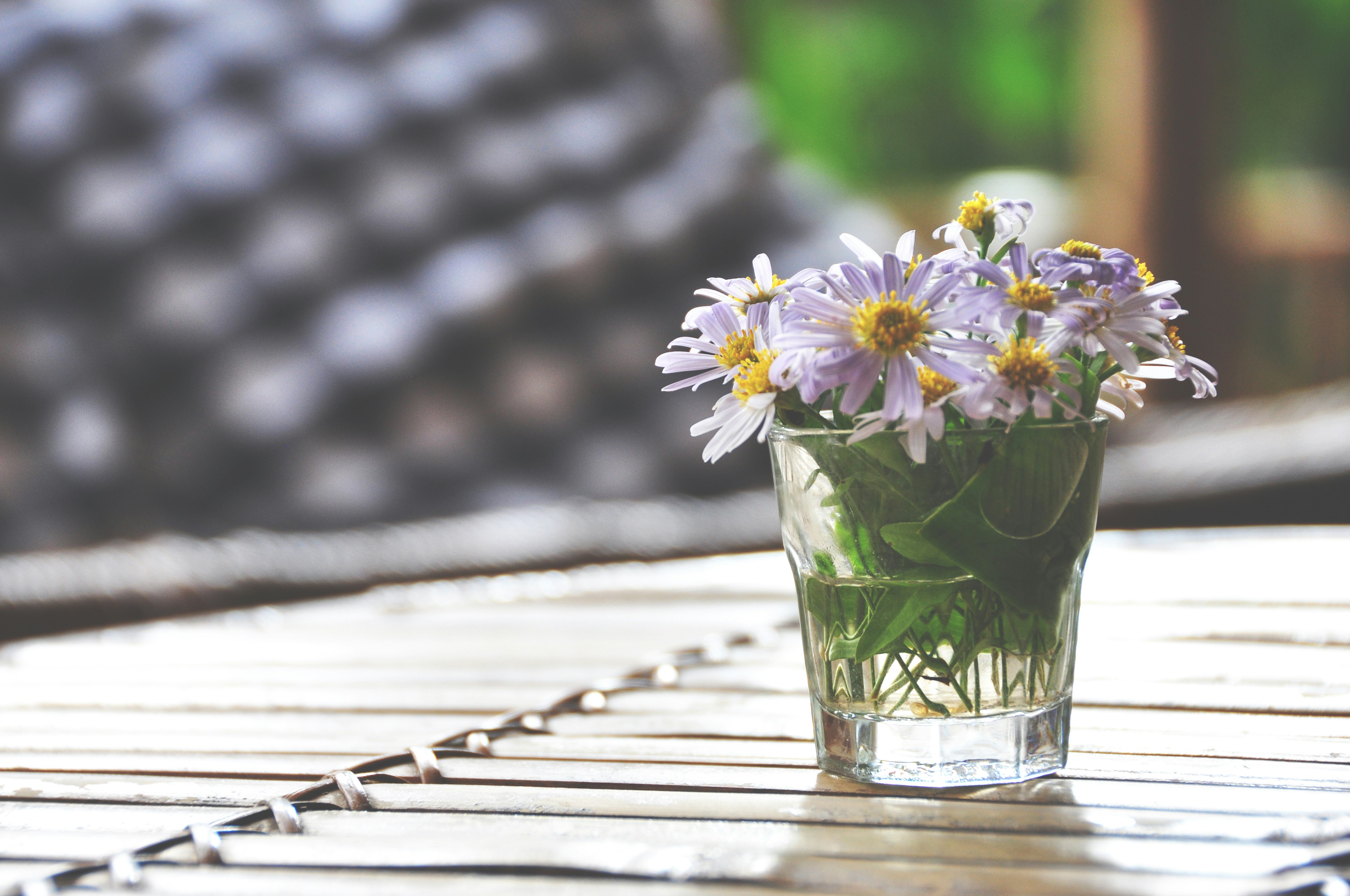 Photo by idonothingbutlove