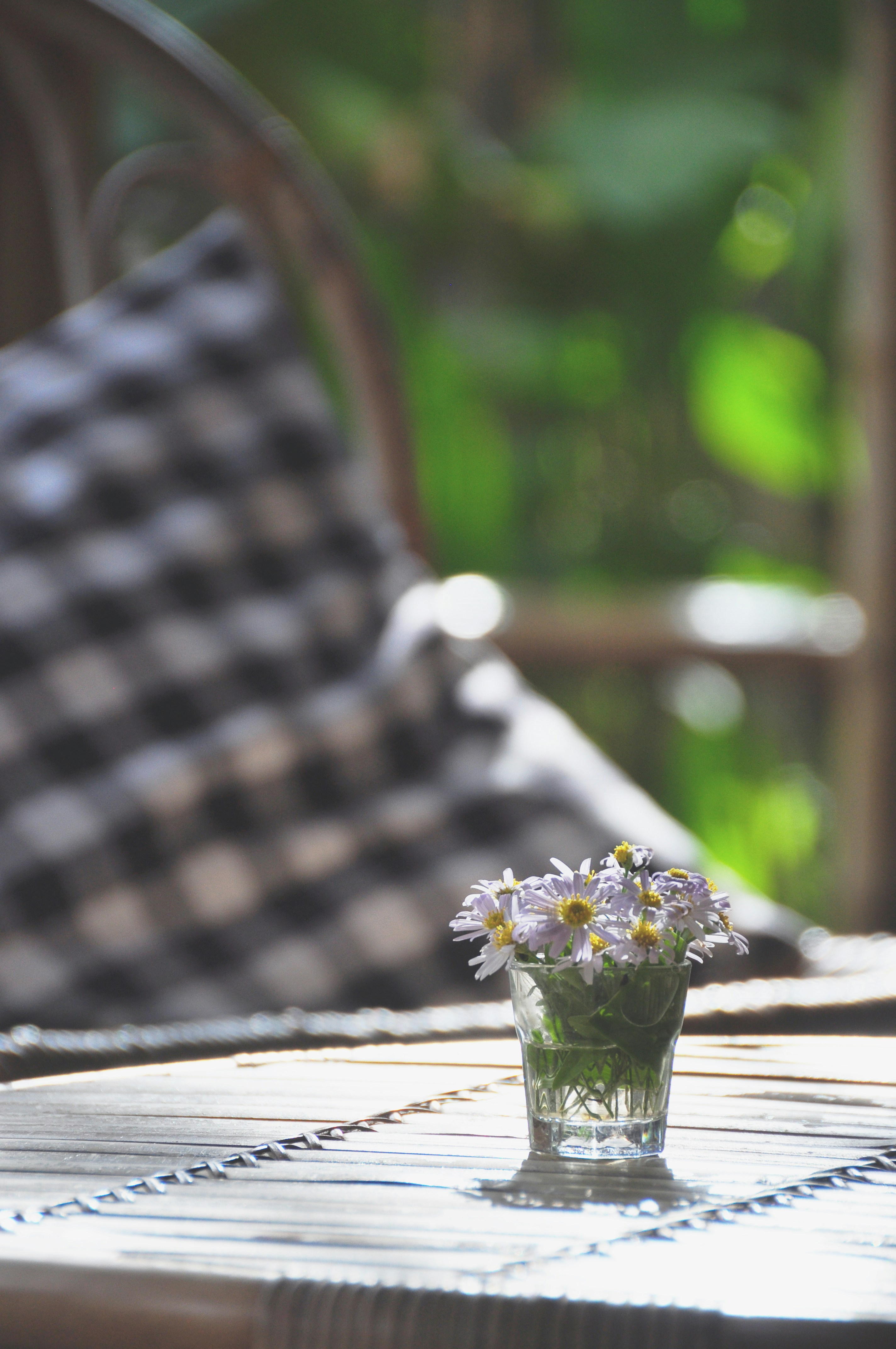 Photo by idonothingbutlove