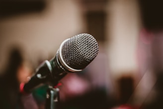 black microphone on black microphone stand