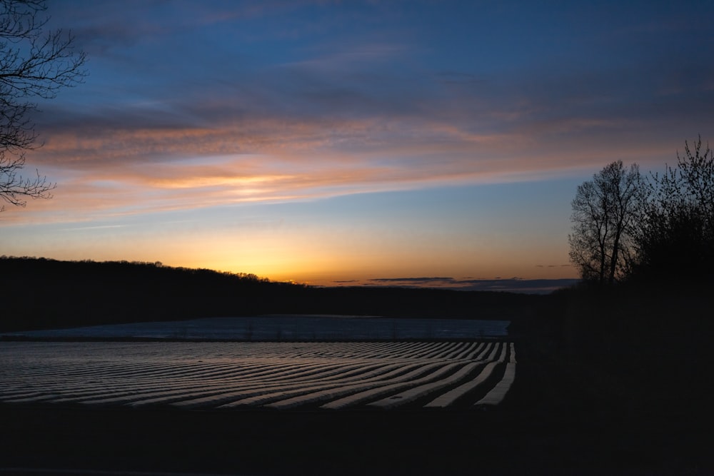 silhouette of trees near body of water during sunset