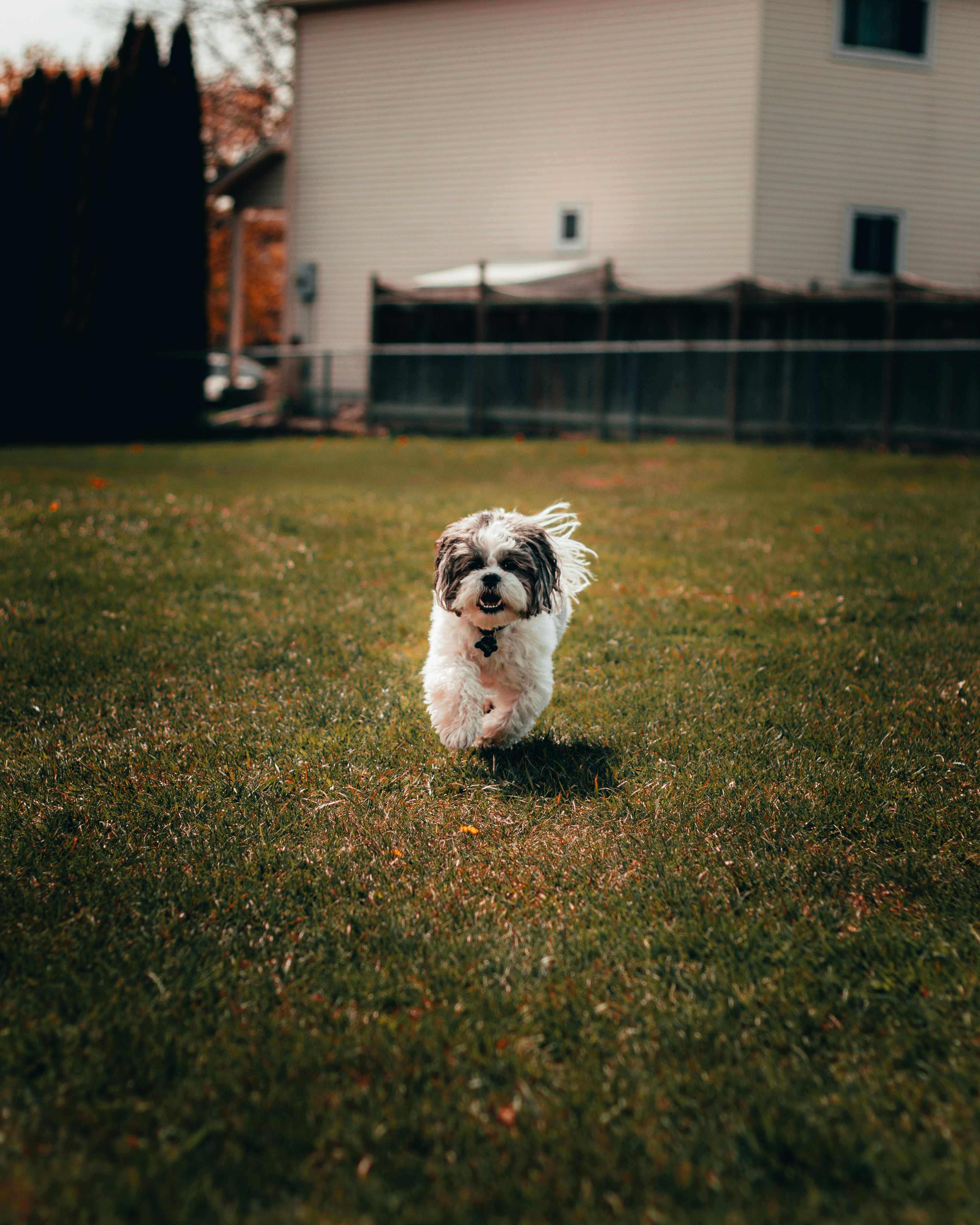Photo by kyddvisuals