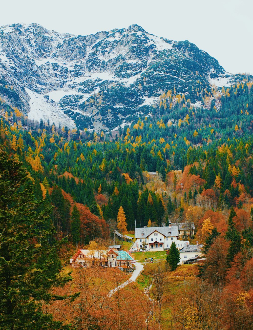 white and brown house near green trees and mountain during daytime