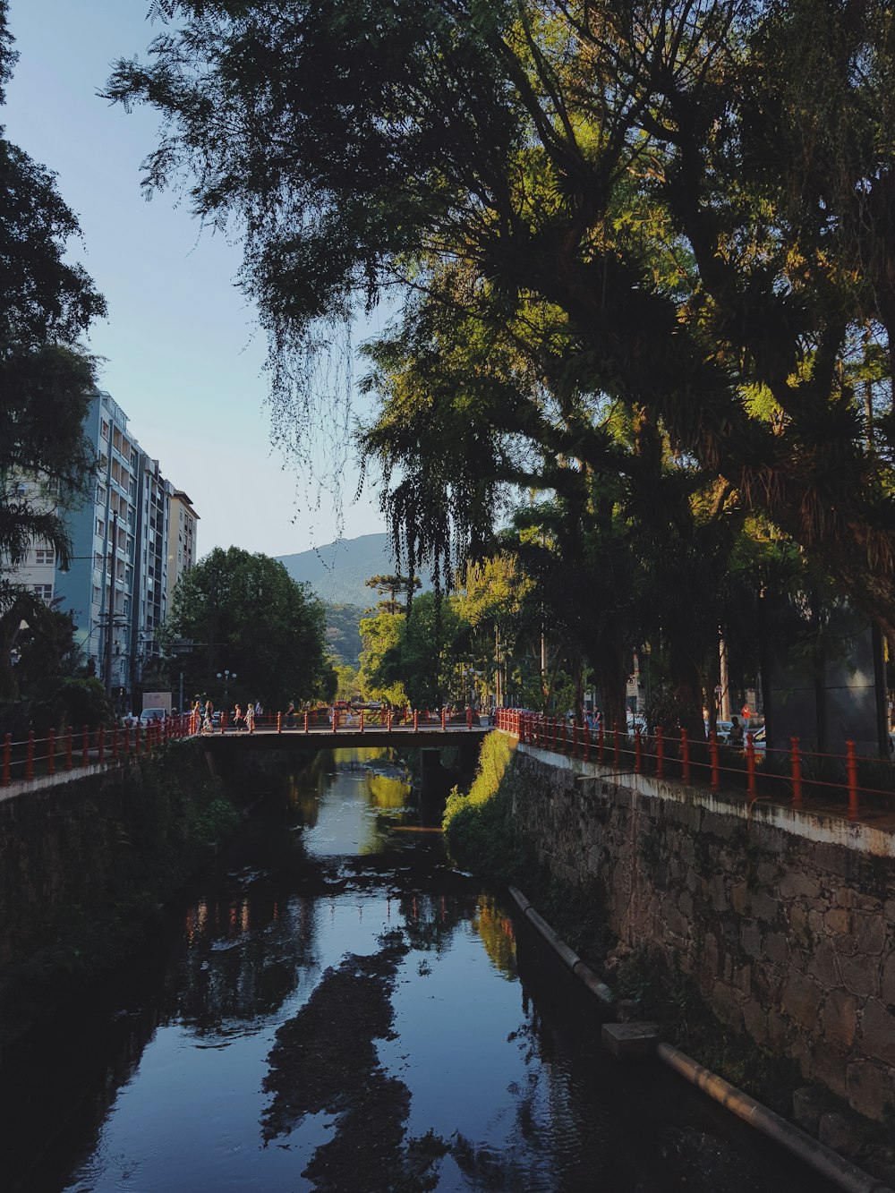 river between trees and building during daytime