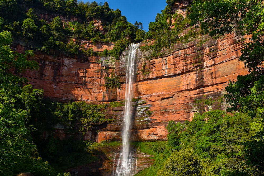 Cascadas en medio del bosque durante el día