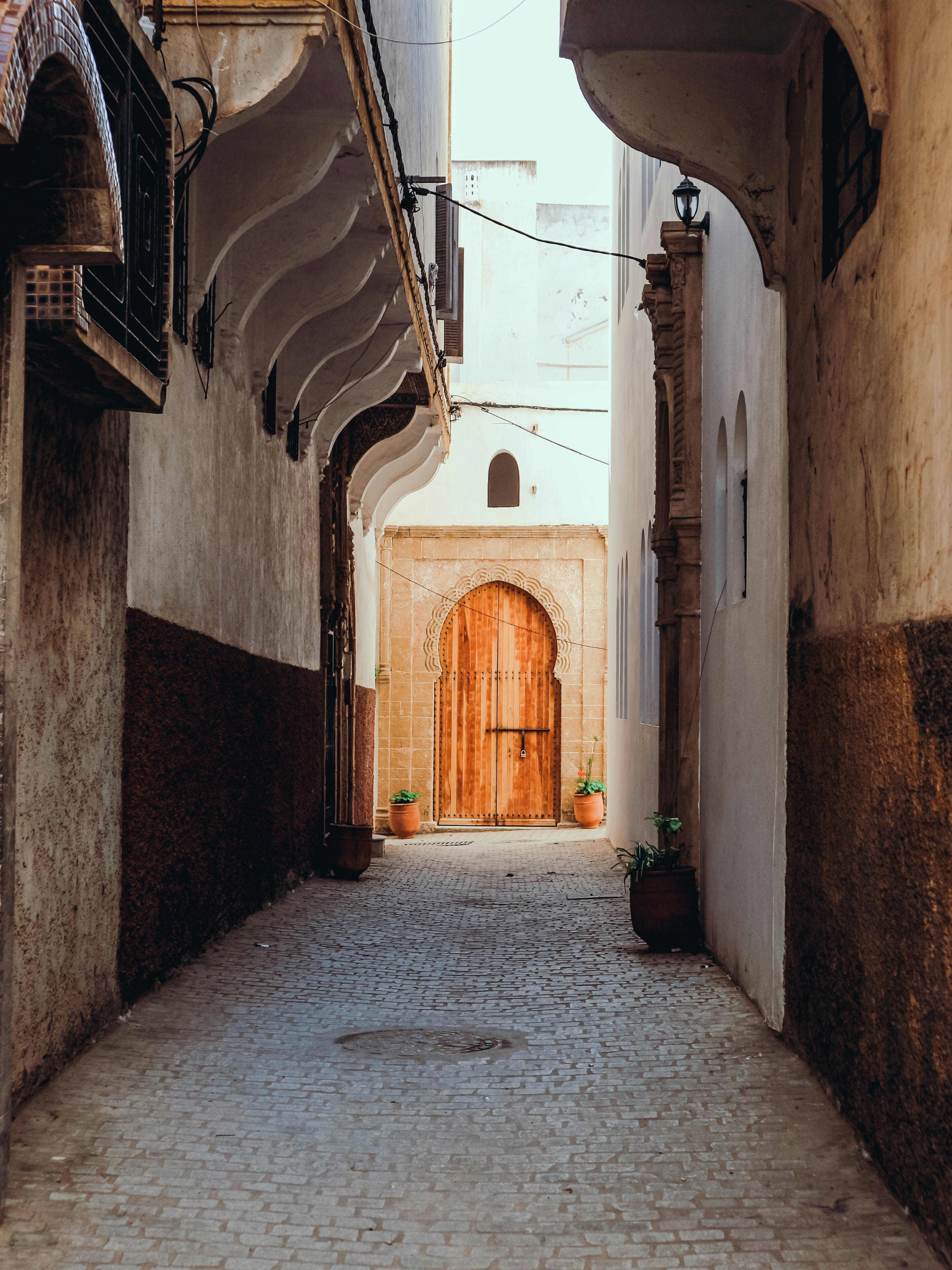 Photo by thepinkpingu