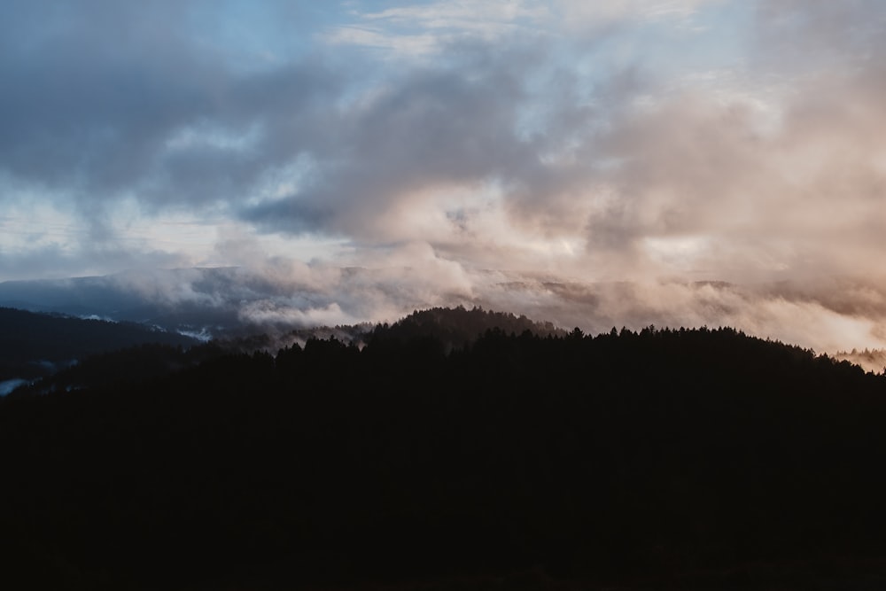 silhouette of trees under cloudy sky during daytime