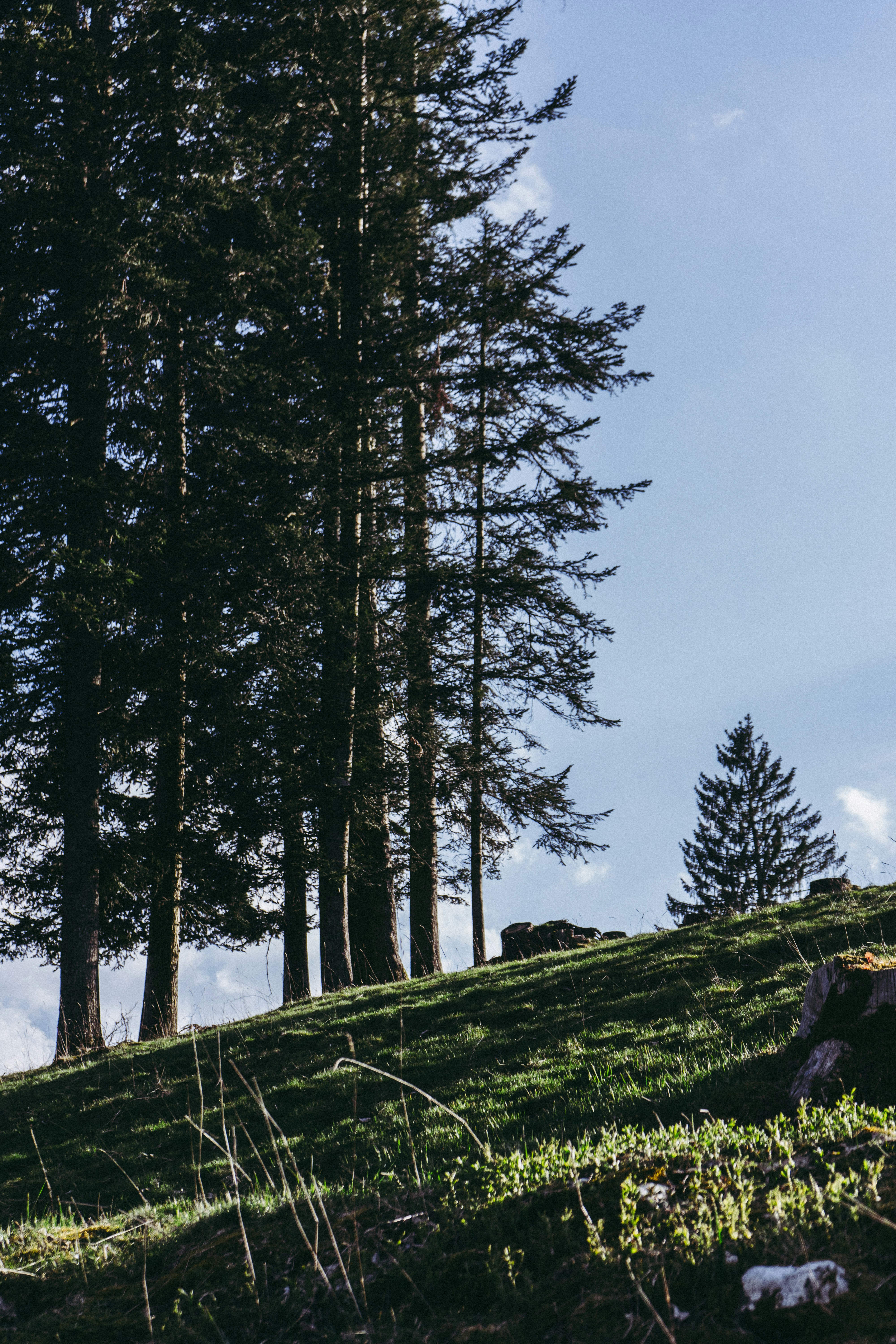 Photo by virussinside