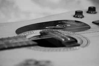 Close-up shot of a guitar and microphone, capturing the raw, authentic vibe of a live americana show.
