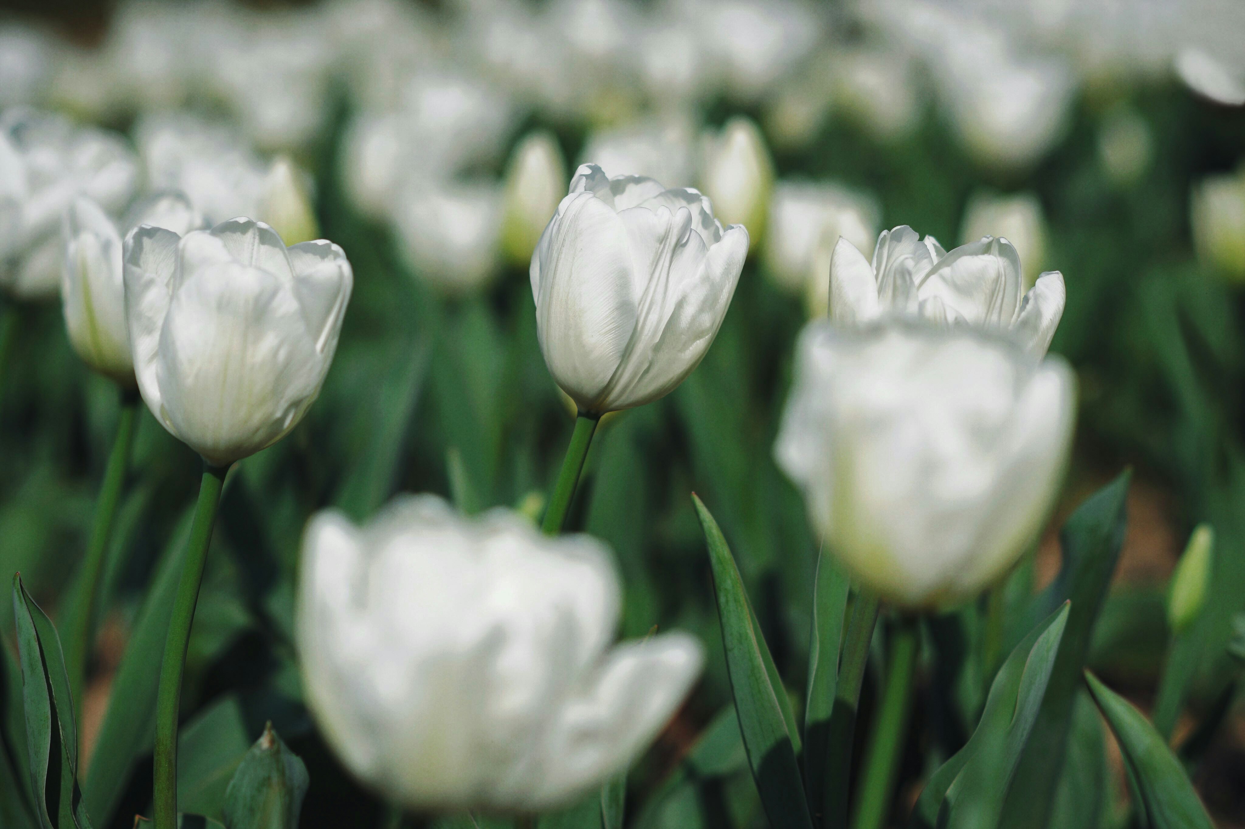 Photo by miamorevolefeyah