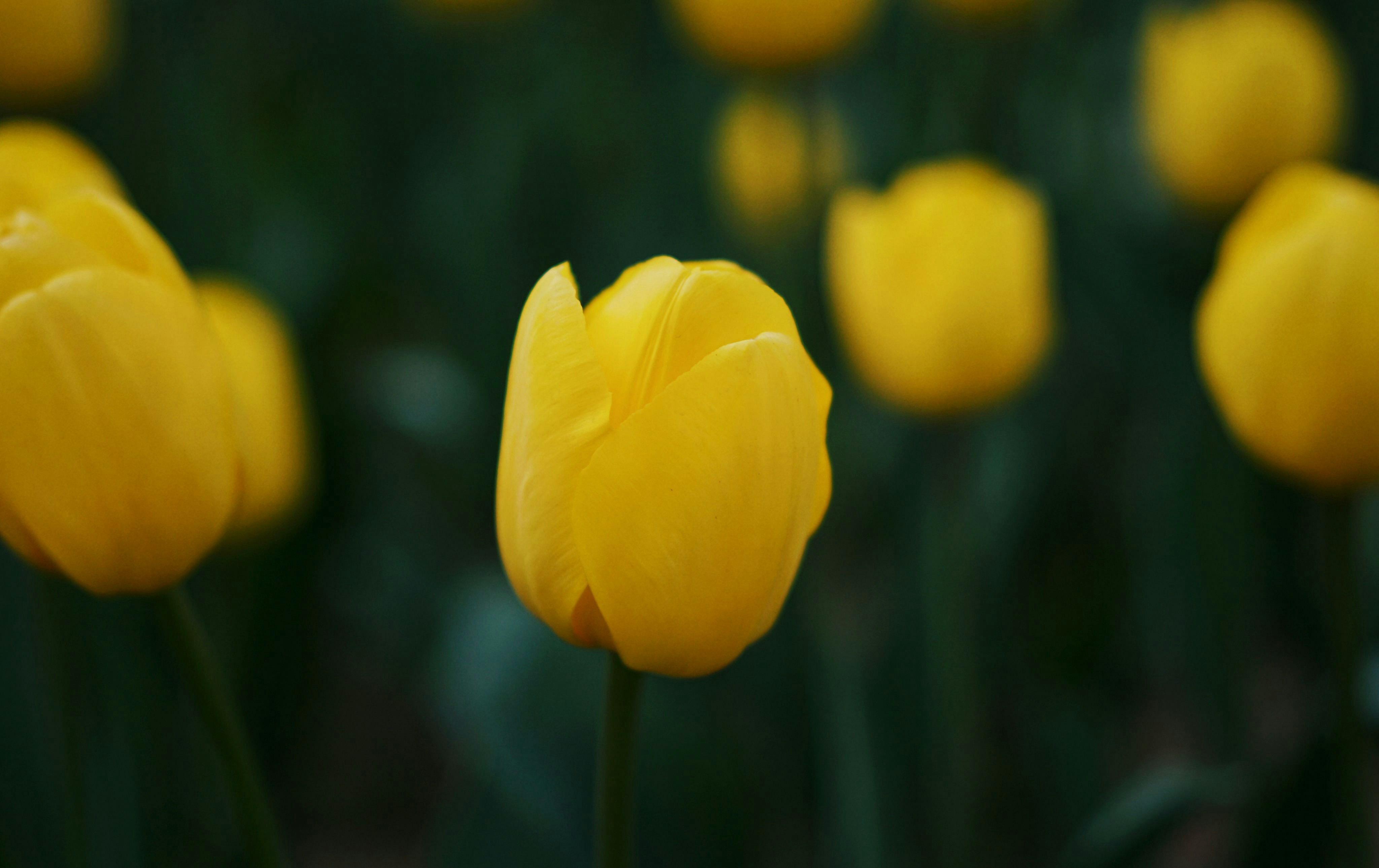 Photo by miamorevolefeyah