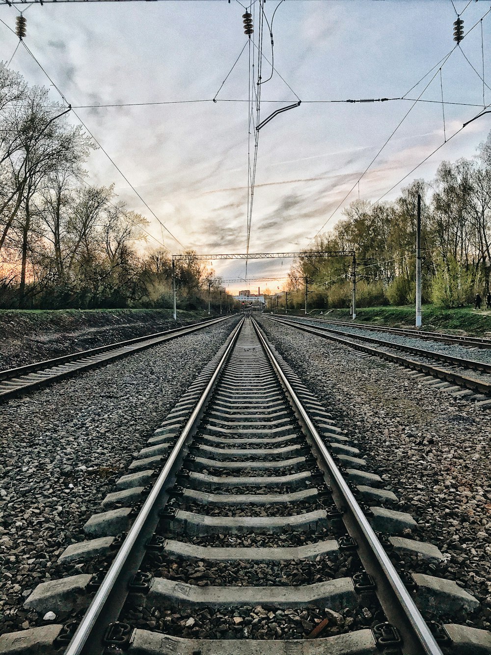 Carril de tren de metal negro cerca de los árboles durante el día