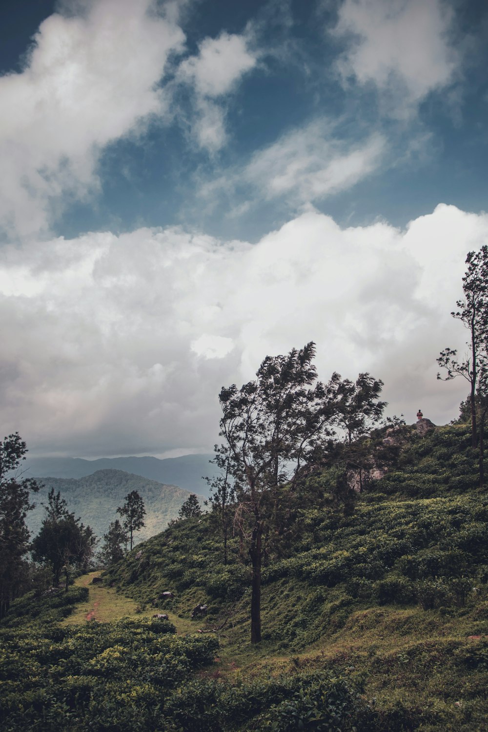 green trees on mountain under white clouds and blue sky during daytime