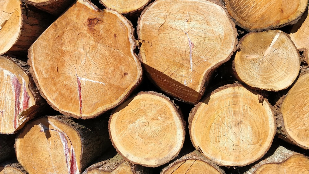 lotto di tronchi di legno marrone con luce rosa