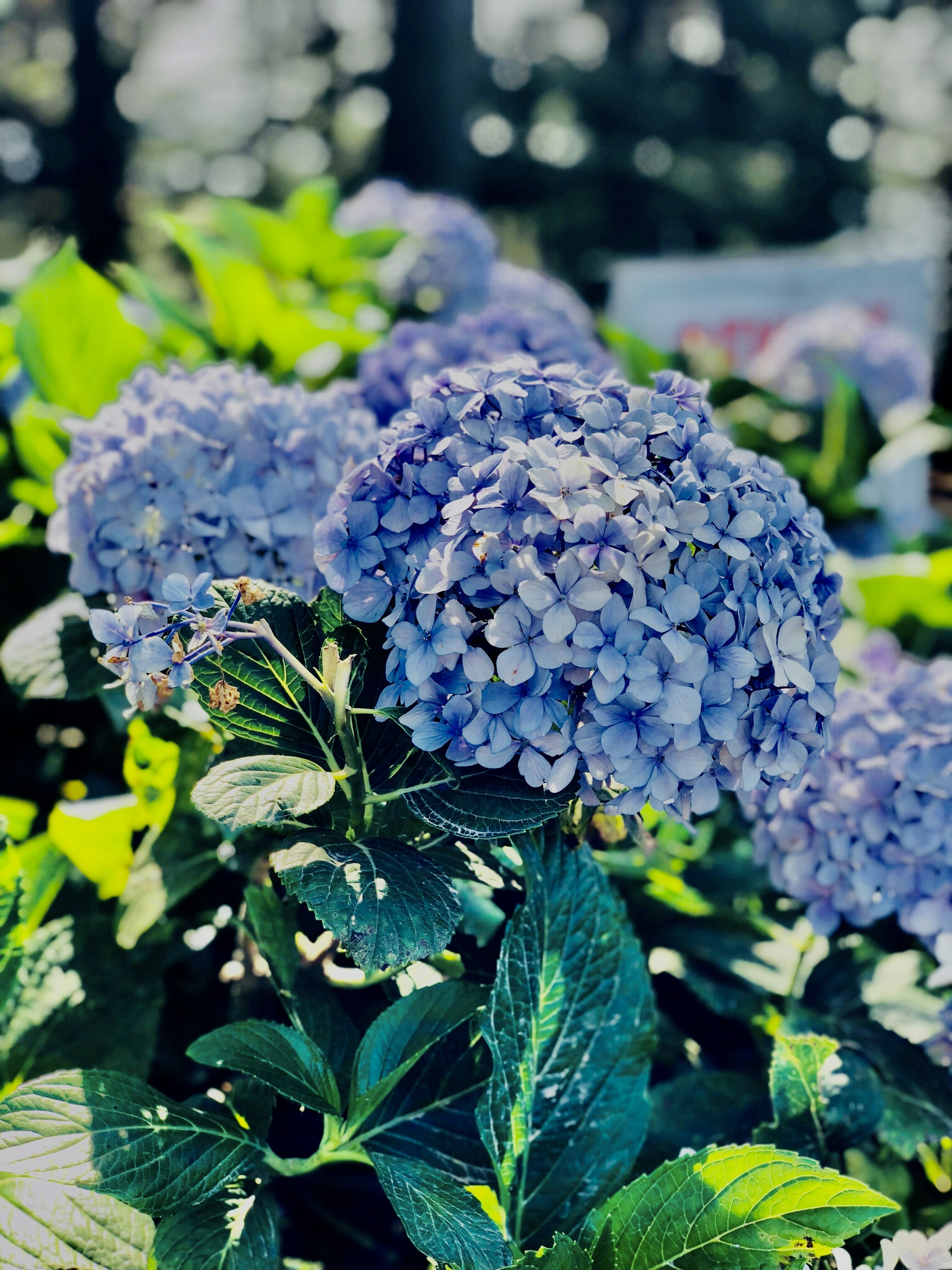 Photo by pixesloop