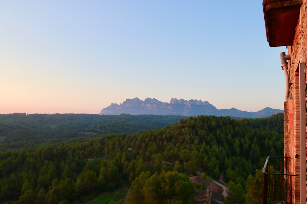 green trees on mountain under blue sky during daytime