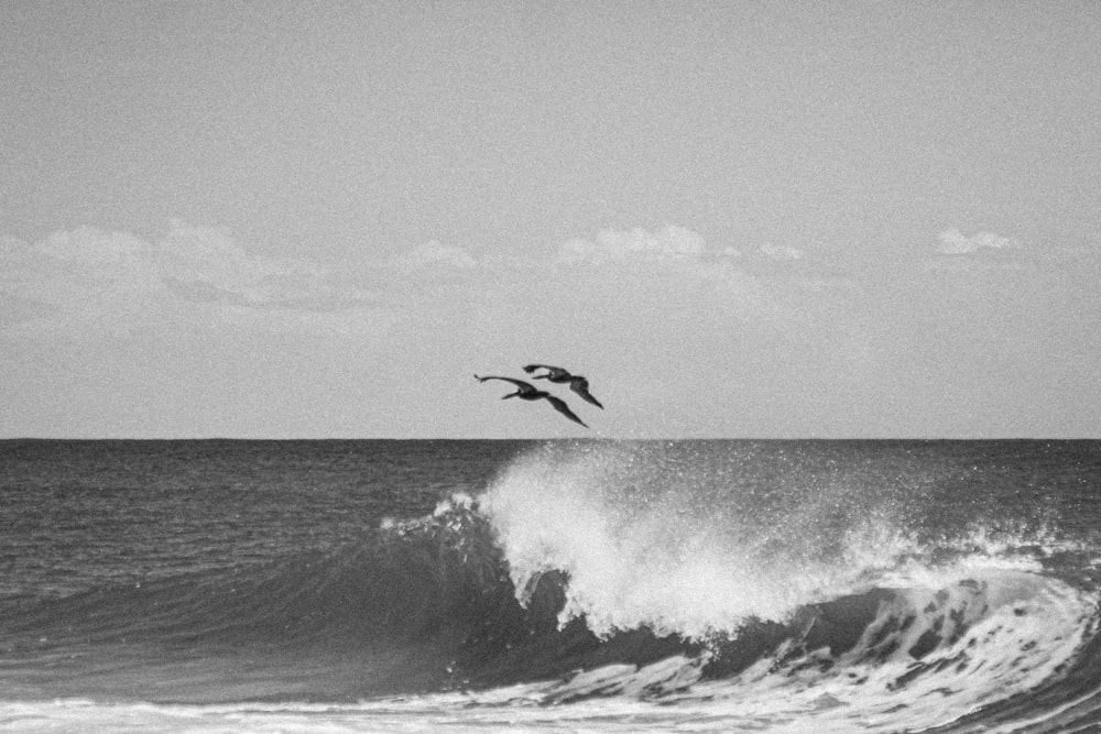 grayscale photo of bird flying over ocean waves