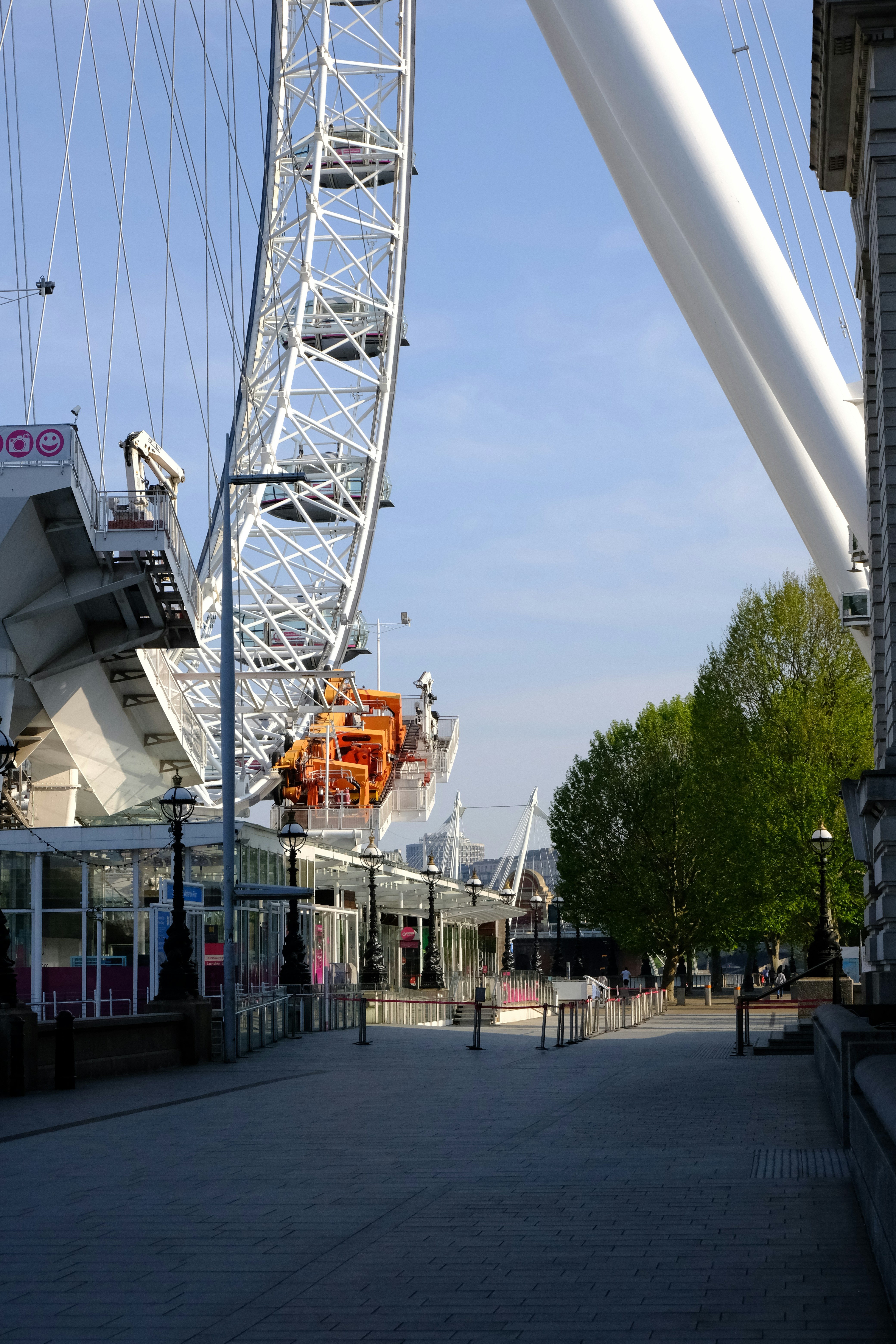 white and orange crane near green trees during daytime
