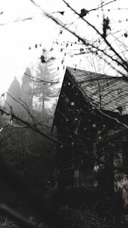 black wooden house on snow covered ground